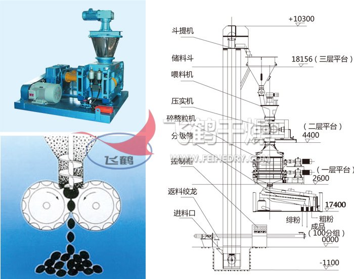 干法辊压造粒机结构示意图 干法辊压造粒机结构示意图