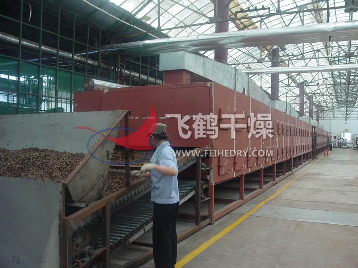 DWC系列脱水蔬菜带式干燥机