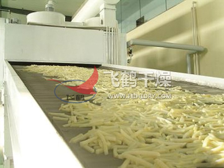 DWC系列脱水蔬菜带式干燥机