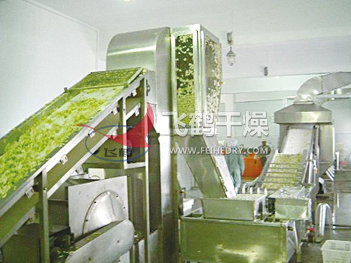 DWC系列脱水蔬菜带式干燥机